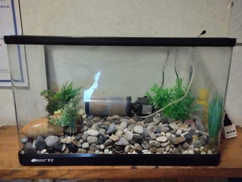 Acquario litri - acquario,