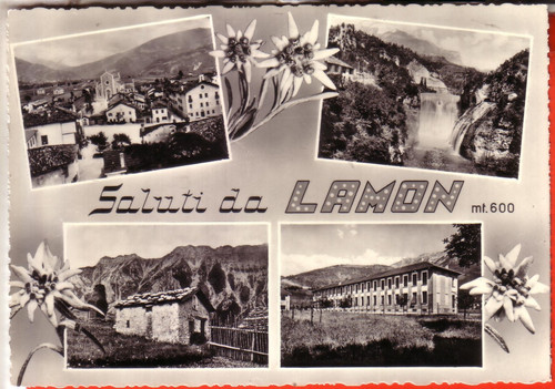 Cartolina lamon viaggiata - lamon,