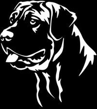 Adesivo PRESA CANARIO - adesivo auto - sticker - testa Dogo Canario #08