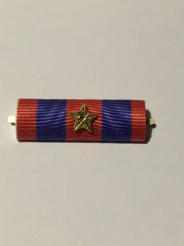 Nastrino polizia locale - nastrino,
