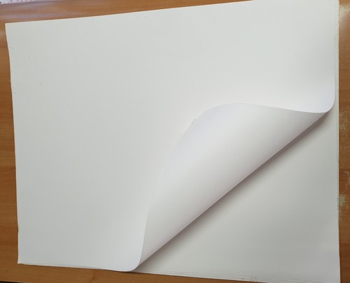 Carta assorbente 60 pz - assorbente, x