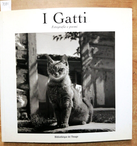 Gatti fotografie poemi - e,