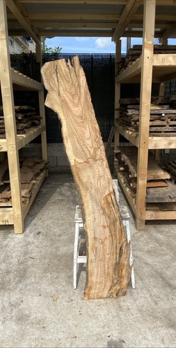 Tavola legno ulivo - di, x