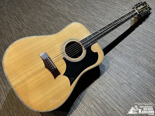 Yairi yw600g chitarra - yw600g,