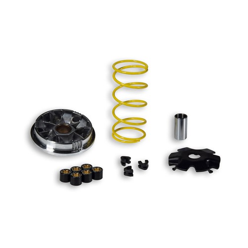 Variatore malossi multivar - variatore,