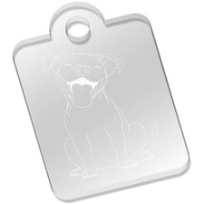 'Happy Pit Bull Terrier'