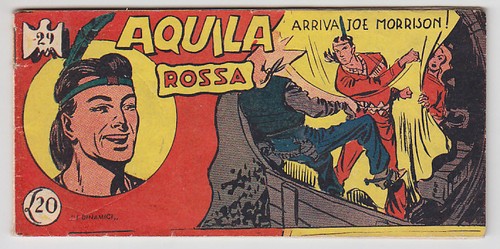 Aquila rossa tomasina - aquila,