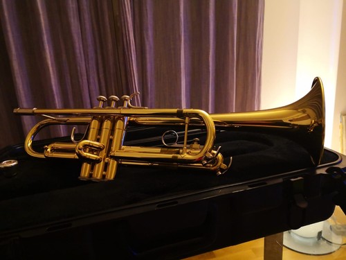 Tromba sib bach - bach, tr300h