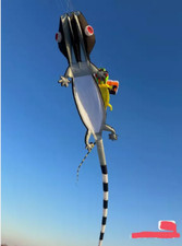 nuovi modelli di aquiloni 3D