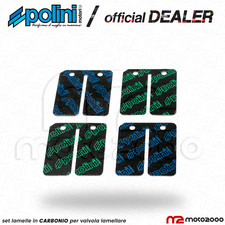 SET LAMELLE CARBONIO POLINI