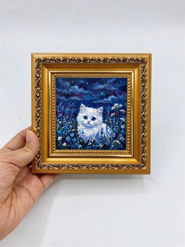 Magico gatto bianco stellato