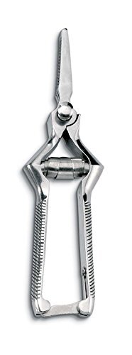 Ausonia masticatore inox - -,