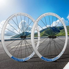 700C Cricchetto 36T 6 Pawls