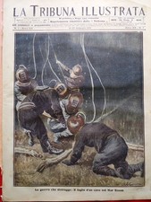 La Tribuna Illustrata 18 Febbraio 1912 Processo Cuocolo Camorra Telecinema Malta