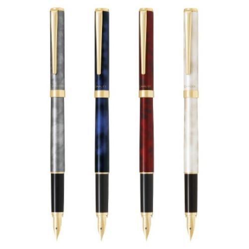 Penna stilografica pilot - penna,