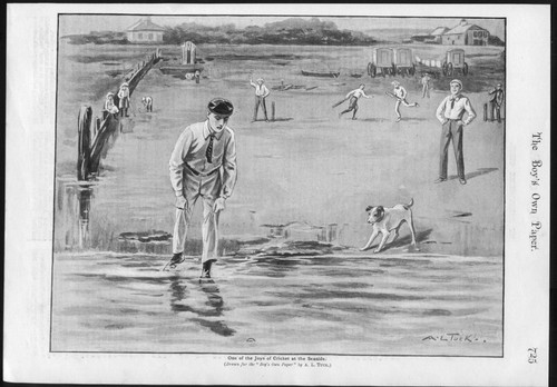 The joys seaside cricket - joys, of