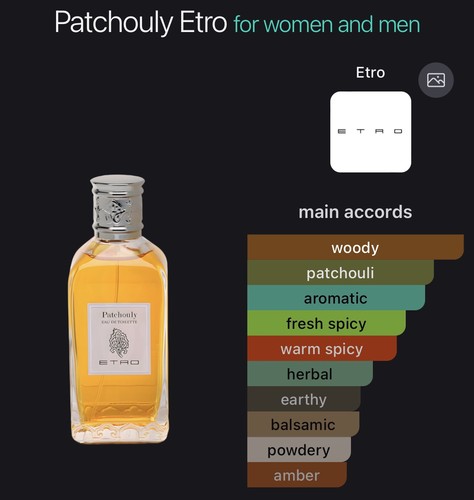 Etro patchouly edt 100ml - etro, 3,4
