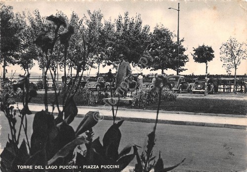 Cartolina torre del lago - torre,
