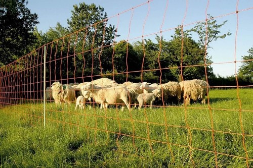 Rete euro extra per - 90/2,