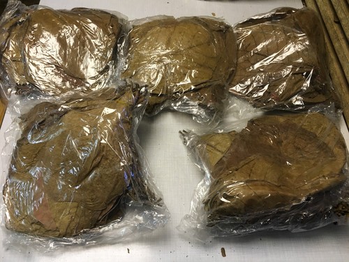 Offerta speciale 1kg foglie - offerta, di