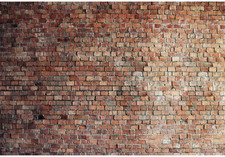 3X2M Sfondo Muro Di Mattoni
