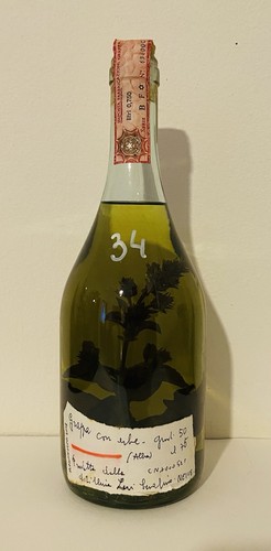 Grappa con erbe romano - grappa,