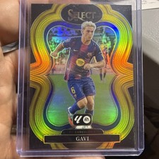 Gavi 2025 panini - gavi,