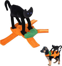 Costume gatto halloween - gatto,, cane