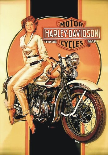 Targa vintage moto harley - vintage,