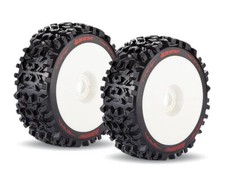 Pneumatico LOUISE B-Pioneer