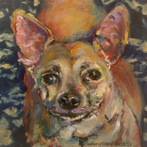Chihuahua cane stampa - cane,,