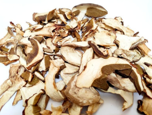 Funghi porcini - porcini,