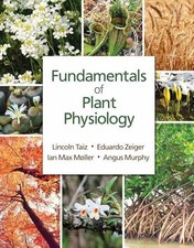Fundamentals of Plant -