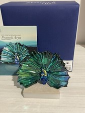 Swarovski SCS Arya Annual