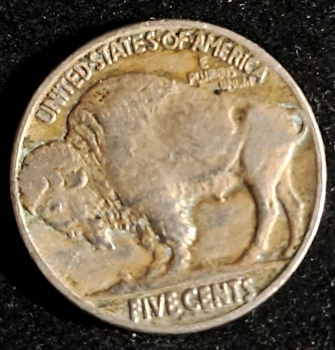 Moneta cent buffalo nickel - 5,