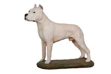 Dogo Argentino hand-painted