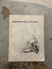 Essentials Of Bovine Anatomy -
