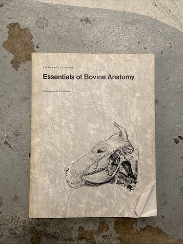 Essentials bovine anatomy - anatomy,