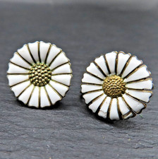 Orecchini a vite argento 830