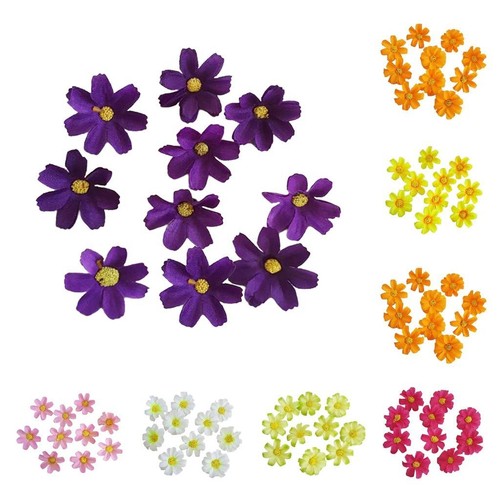 10x fiori margherita - fiori,
