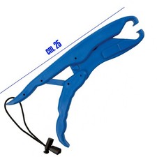 boga grip pinza salpa pesce