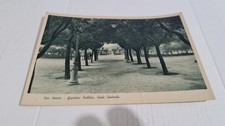 FOGGIA  - SAN SEVERO - GIARDINO PUBBLICO -viale centrale animata 1930 circa