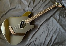 Basso elettrico acustico