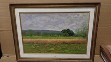 SERGIO MANFREDI : 30 X 45  OLIO SU TAVOLA ( CAMPO DI GRANO SAN GIUSTO CANAVESE)
