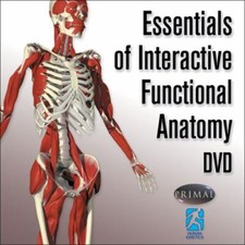 Essentials of Interactive