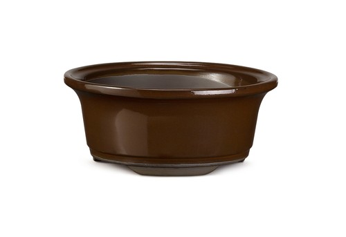 Certrè vaso per - -, bonsai