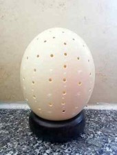 Illuminazione uova di struzzo