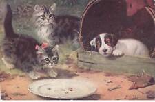 Gatto #32381 Deux Gattini