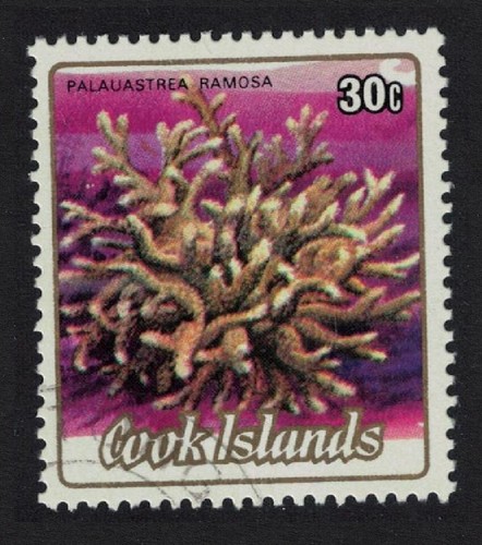 Coralli palauastrea ramosa - 'palauastrea, ramosa'