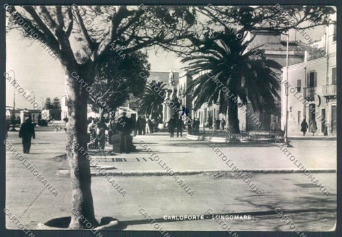 Cagliari carloforte pieghina - cagliari,